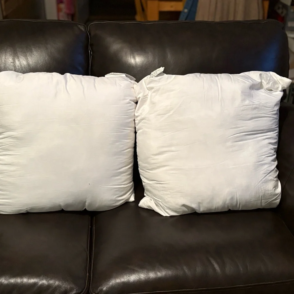 2 - Cupcakes & Cashmere Pumpkin throw pillows